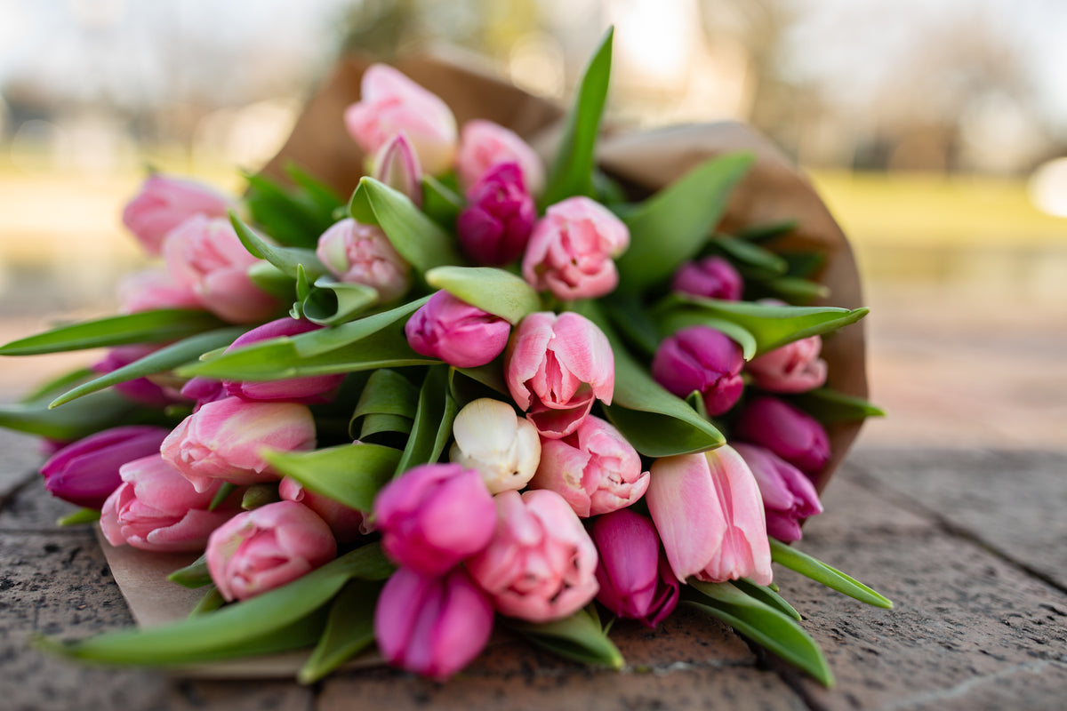 Spring is in the Air